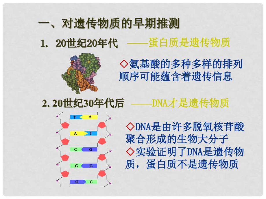 高中生物 3.1 DNA是主要的遗传物质课件 新人教版必修2_第4页