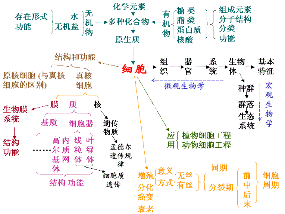 专题一生命的物质基础构基础_第4页