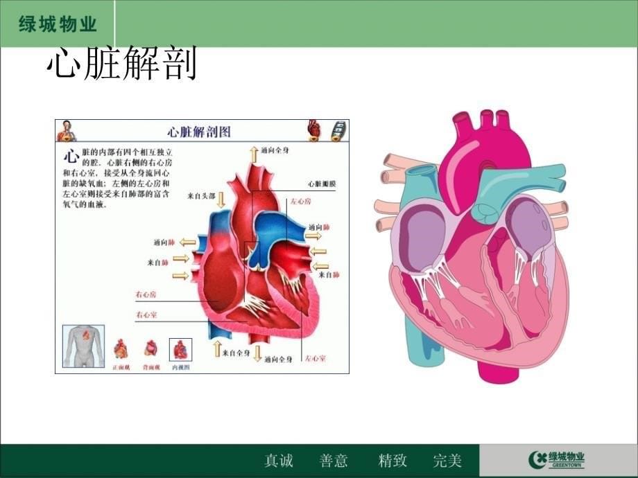 《心衰患者护理》PPT课件_第5页