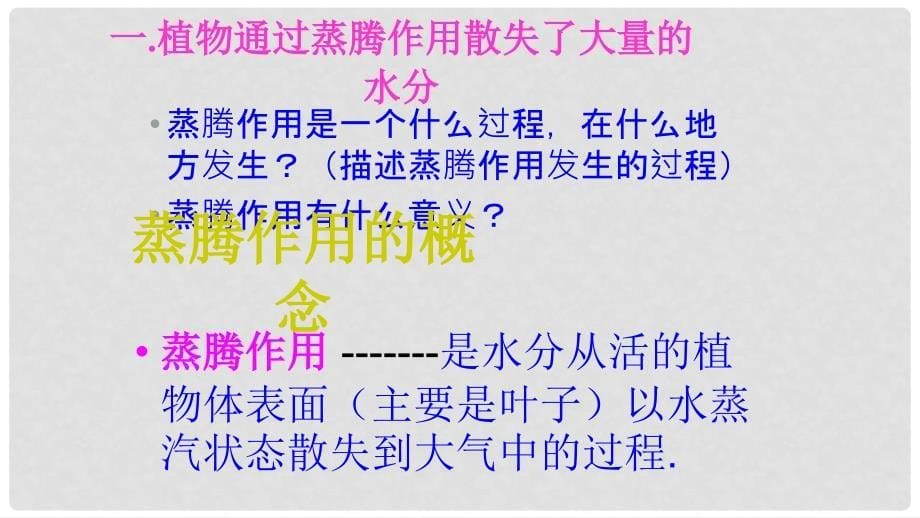 七年级生物上册 第三单元 第三章 绿色植物参与生物圈的水循环课件 新人教版_第5页