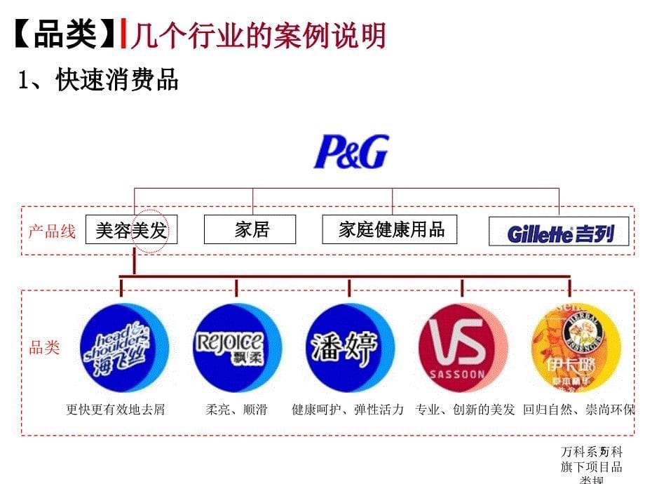 万科系万科旗下项目品类规课件_第5页