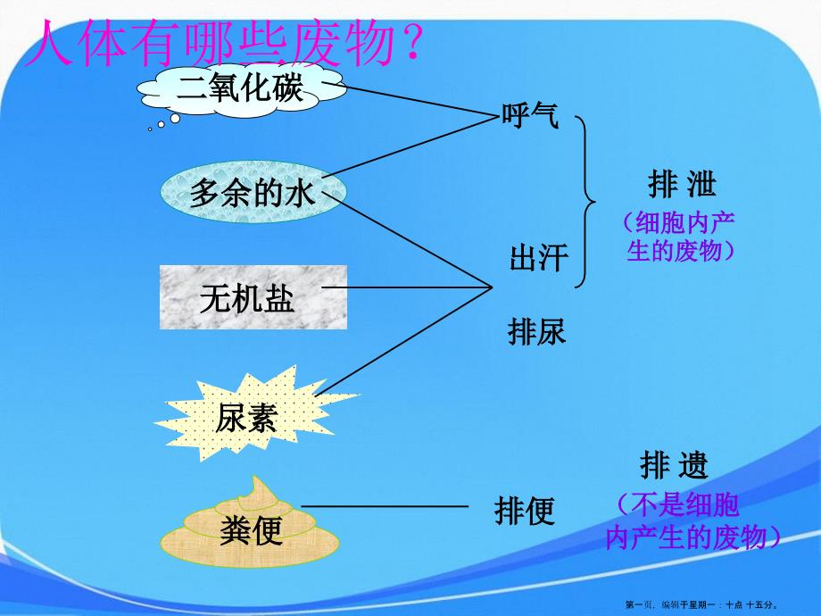 人教版生物七年级下册第四单元第五章人体内废物的排出课件1_第1页