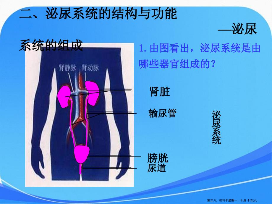 人教版生物七年级下册第四单元第五章人体内废物的排出课件1_第3页