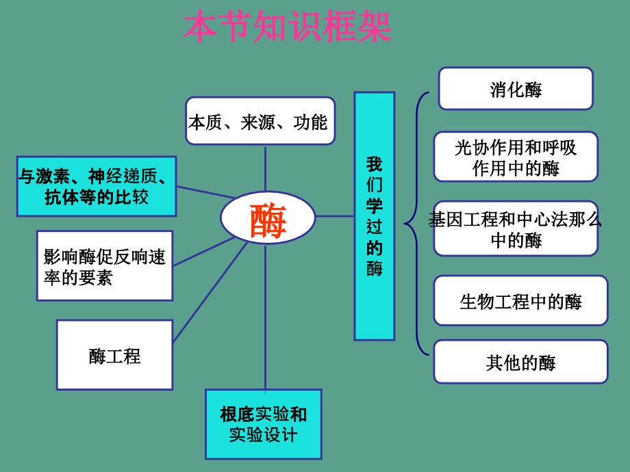 高三二轮复习酶ppt课件_第4页