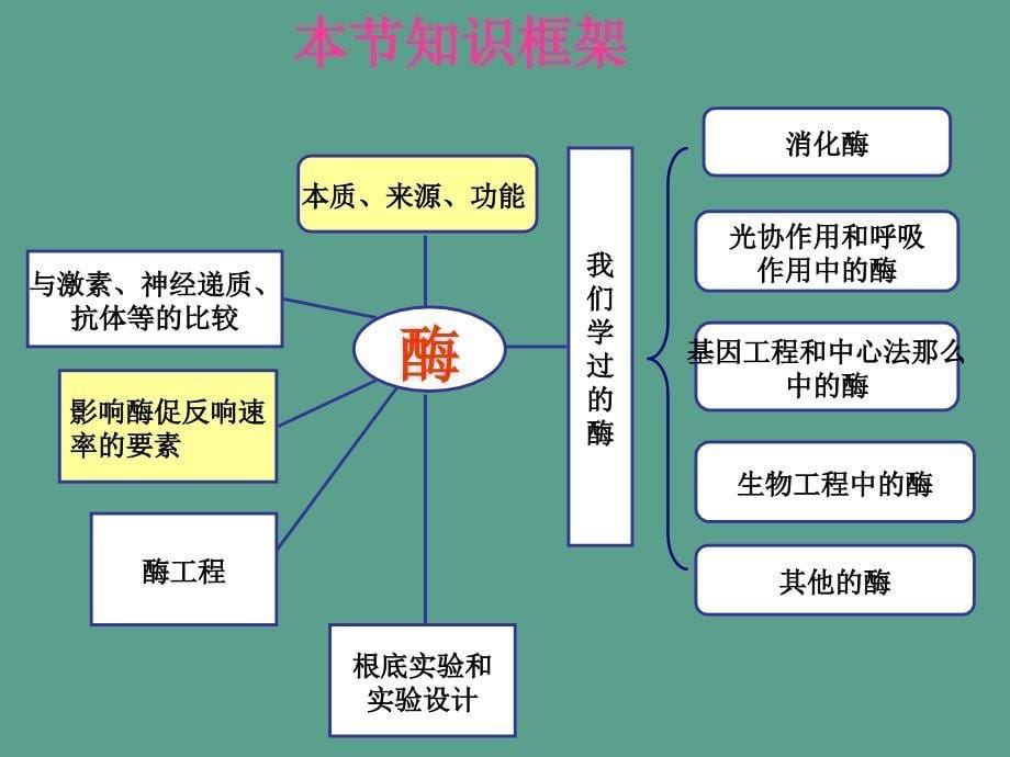 高三二轮复习酶ppt课件_第5页