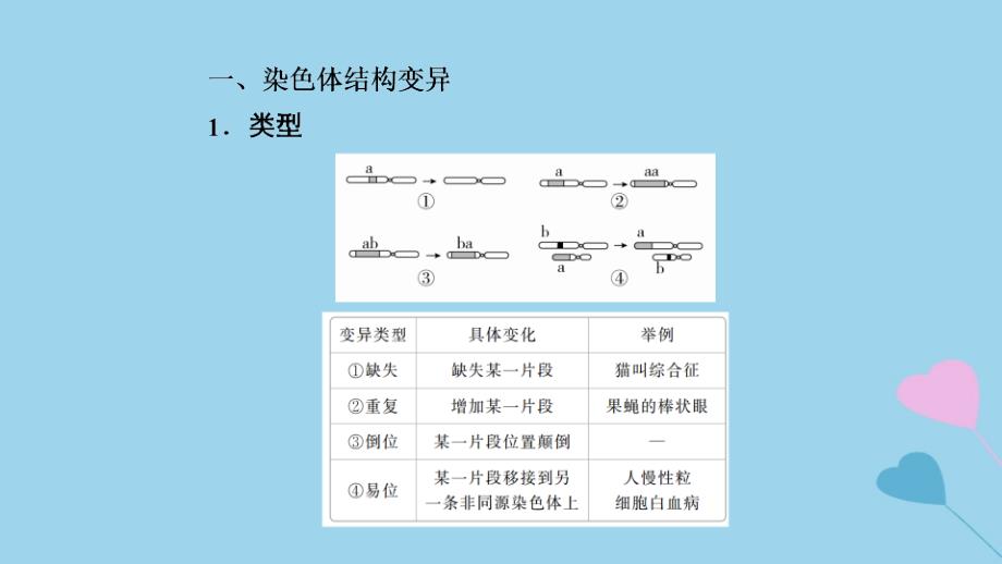 2019高考生物一轮复习 第23讲 染色体变异与育种课件_第4页