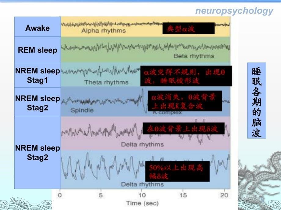 睡眠障碍PPT课件_第5页