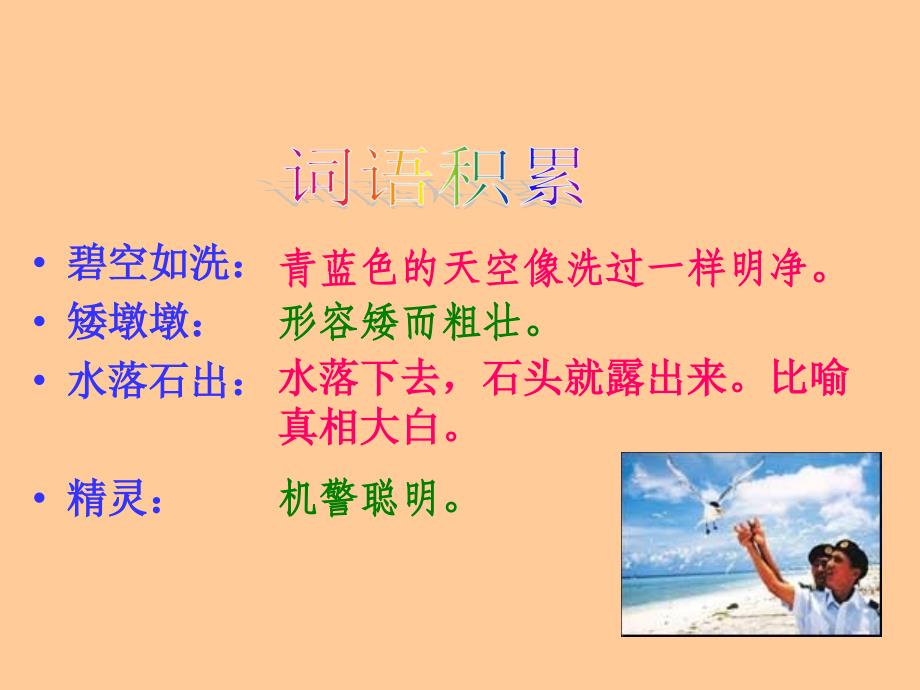 《彩色的翅膀》ppt课件_第2页