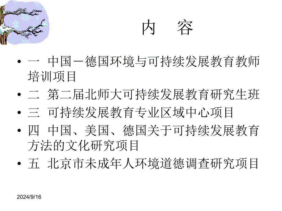 北京师范大学可持续发展教育项目介绍_第2页