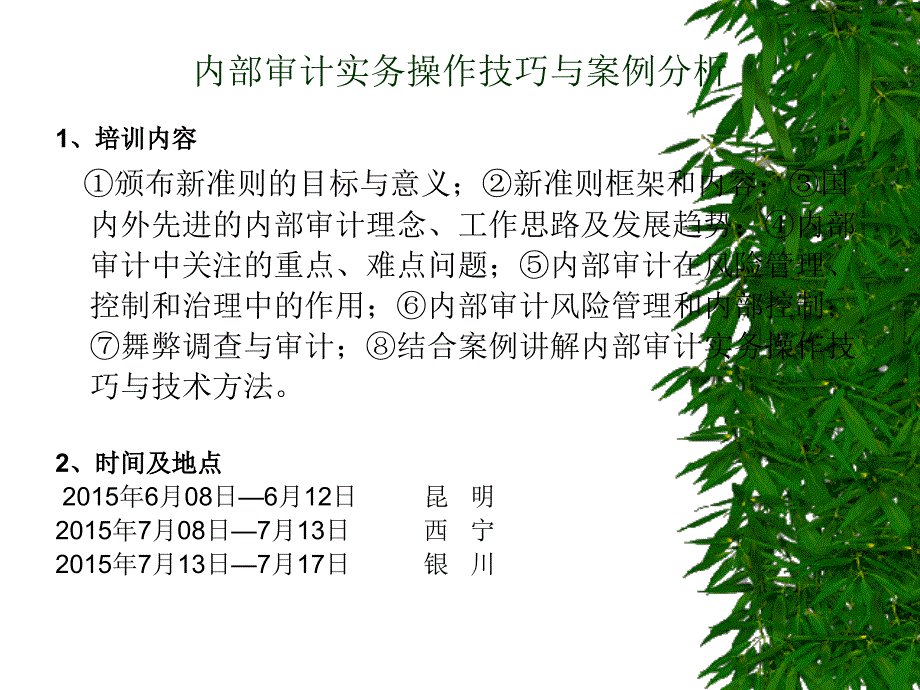 内部审计实务课程_第4页