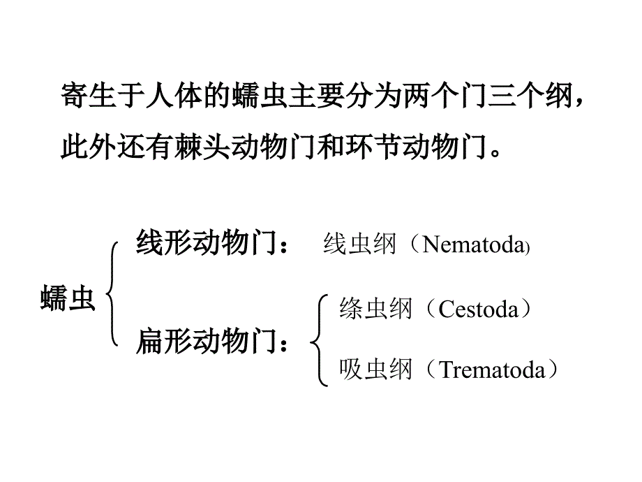 医学微生物学：13.线虫概论 蛔虫_第2页