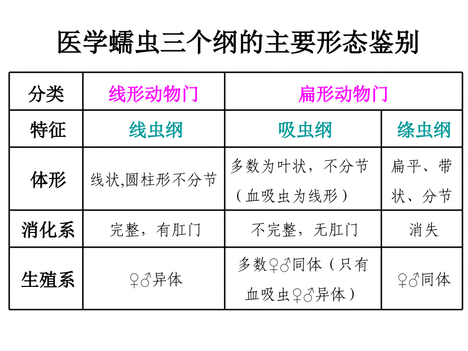 医学微生物学：13.线虫概论 蛔虫_第3页