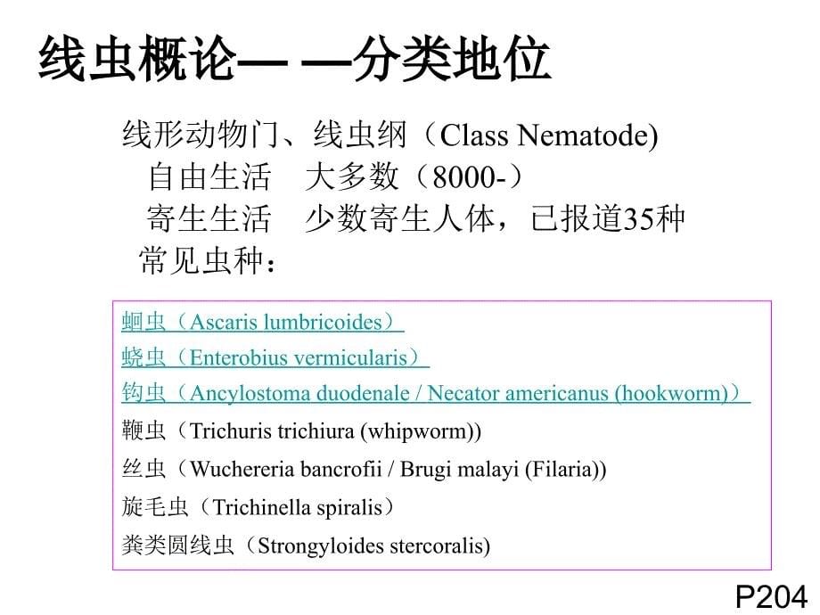 医学微生物学：13.线虫概论 蛔虫_第5页