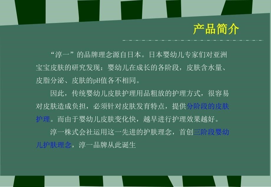 恒安淳一育儿网络推广策划方案.ppt_第5页