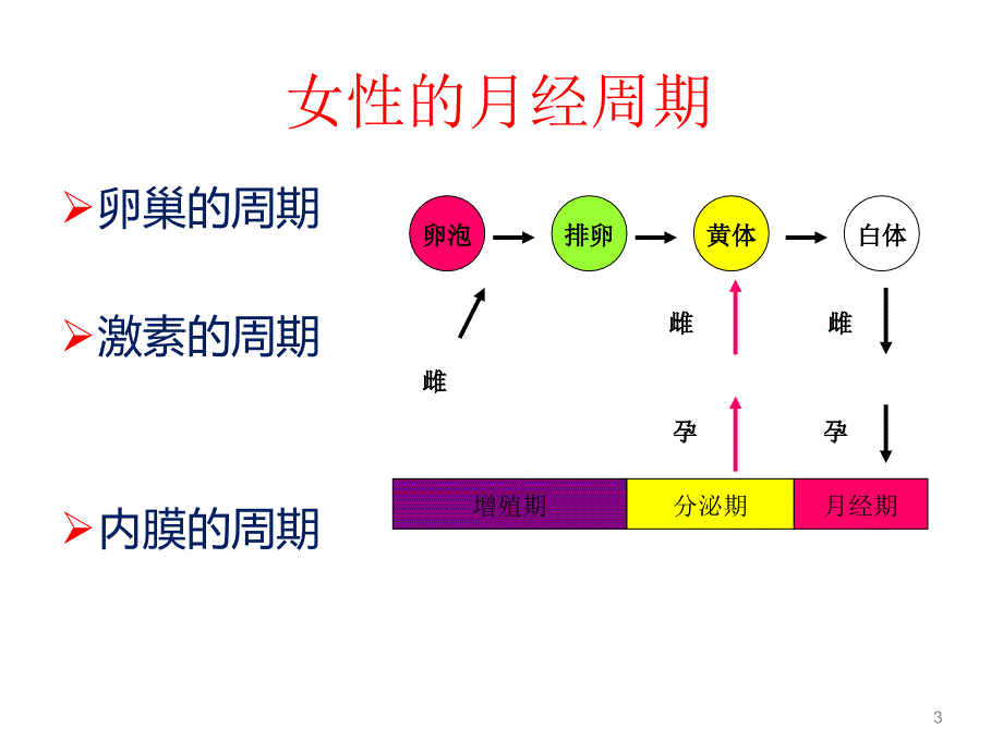 雌孕激素的协同和拮抗作用ppt课件_第3页