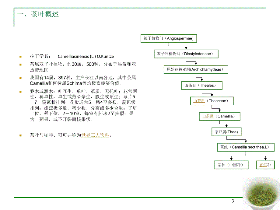 中国茶叶市场研究PPT课件_第3页