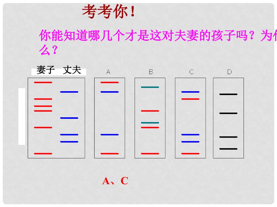 高中生物 第二章 第三节 遗传信息的携带者 核酸课件1 新人教版必修1_第3页