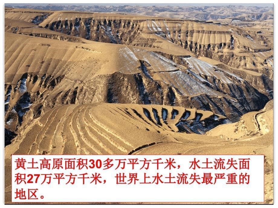 八年级地理下册 第六章 第三节 世界最大的黄土堆积区—黄土高原课件 （新版）新人教版_第5页