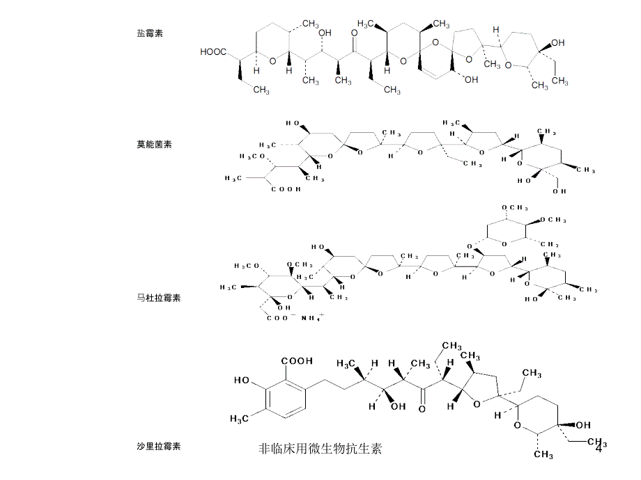 非临床用微生物抗生素课件_第4页