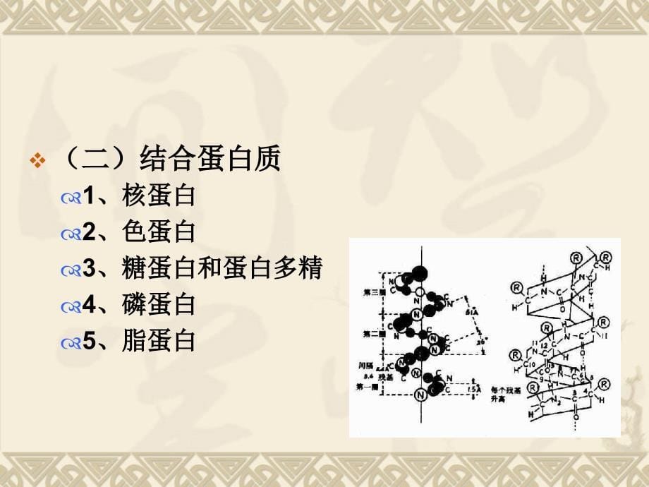 第一章营养学基础_第5页