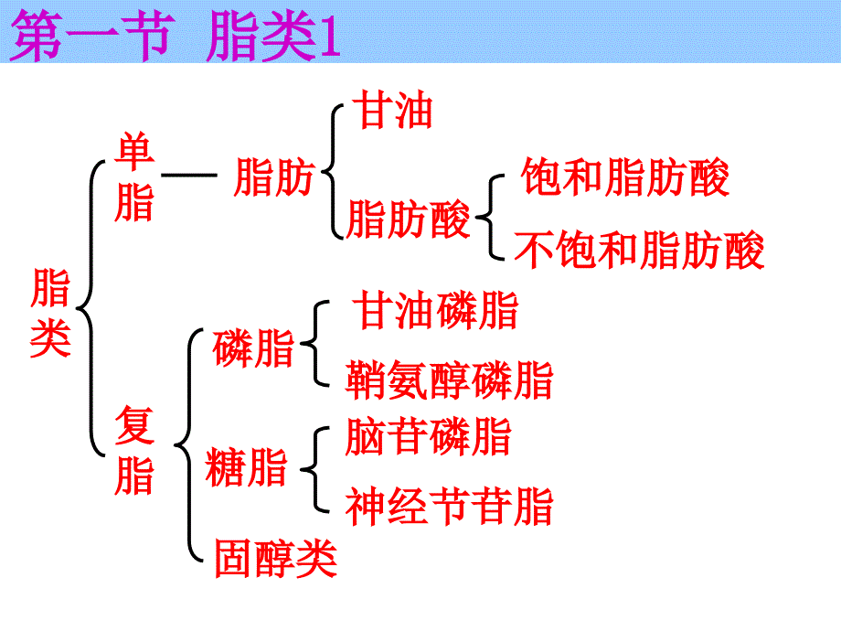 天津大学生物化学03第三章课件脂类与生物膜_第2页