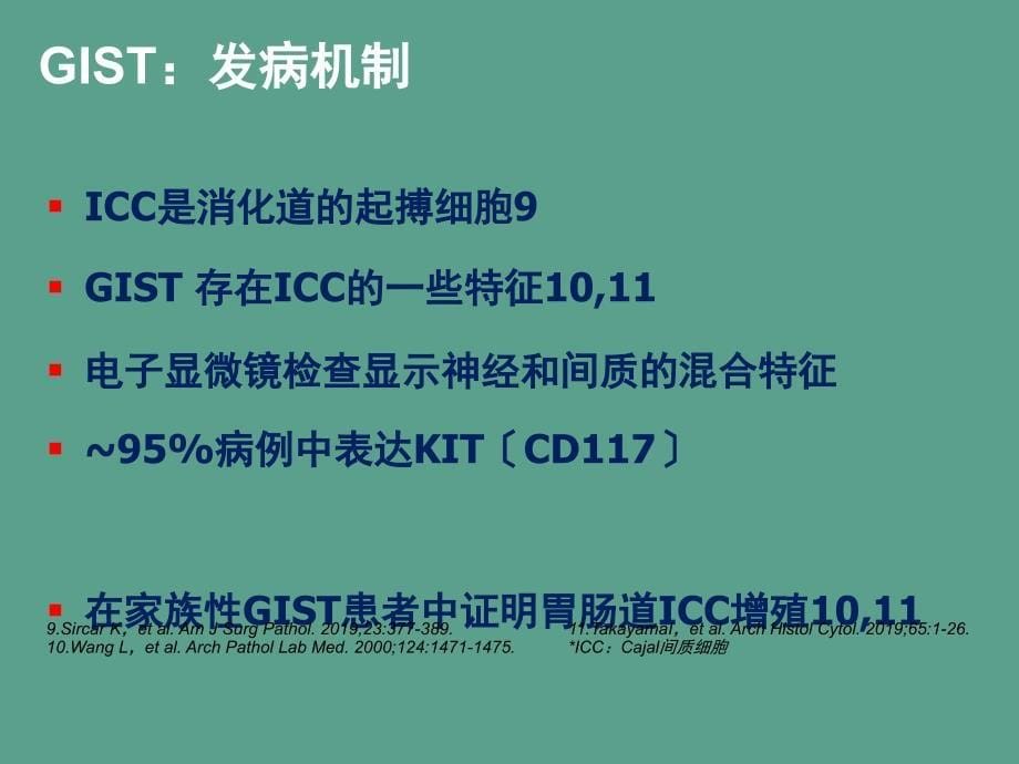 胃肠道间质瘤的综合治疗ppt课件_第5页