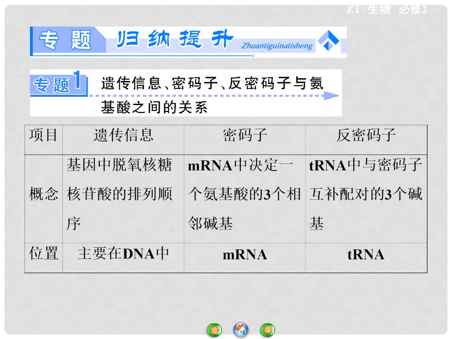 高中生物 第3单元 第2章 基因对性状的控制专题归纳课件 中图版必修2_第2页