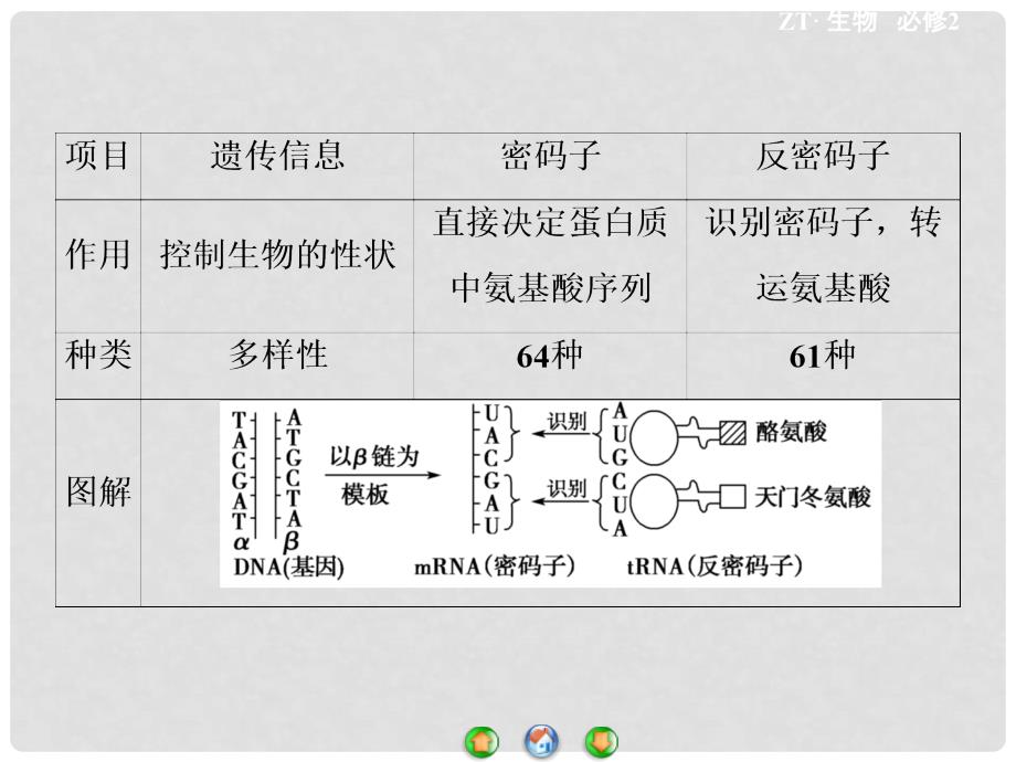 高中生物 第3单元 第2章 基因对性状的控制专题归纳课件 中图版必修2_第3页