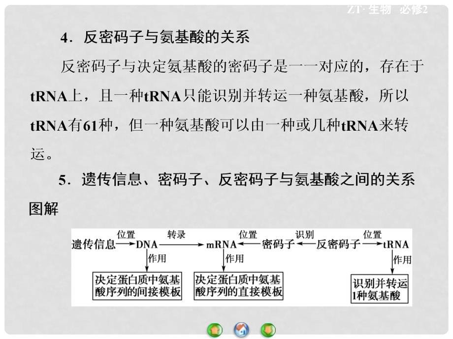 高中生物 第3单元 第2章 基因对性状的控制专题归纳课件 中图版必修2_第5页