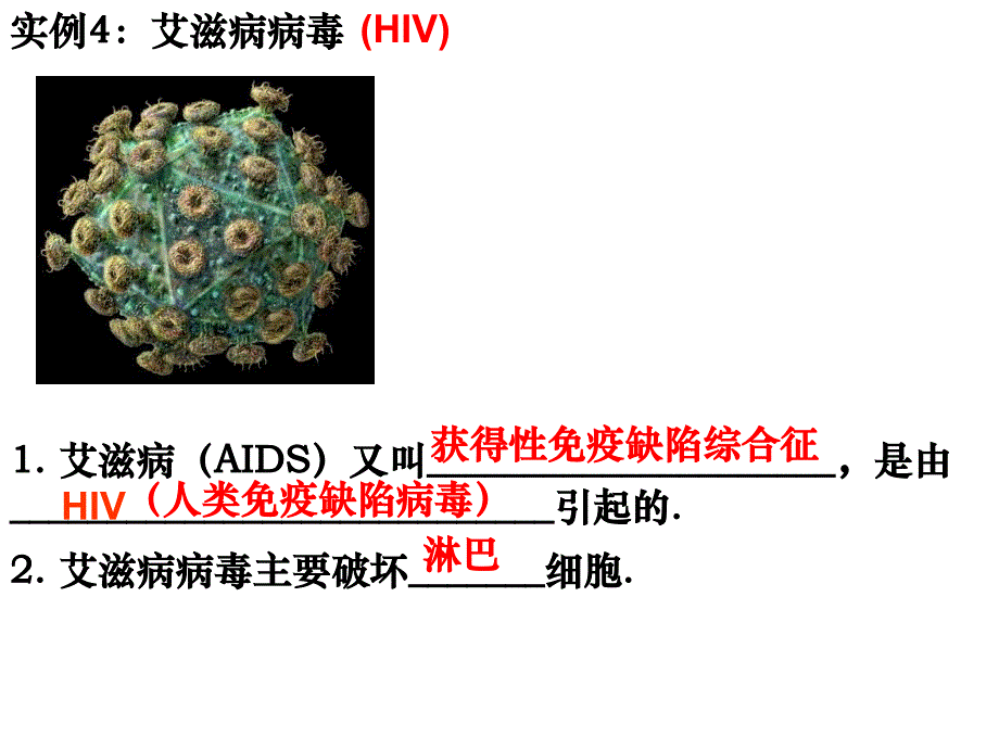 第1节从生物圈到细胞_第3页