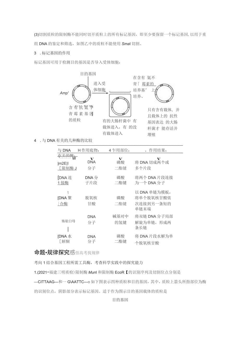 基因工程复习讲义_第5页