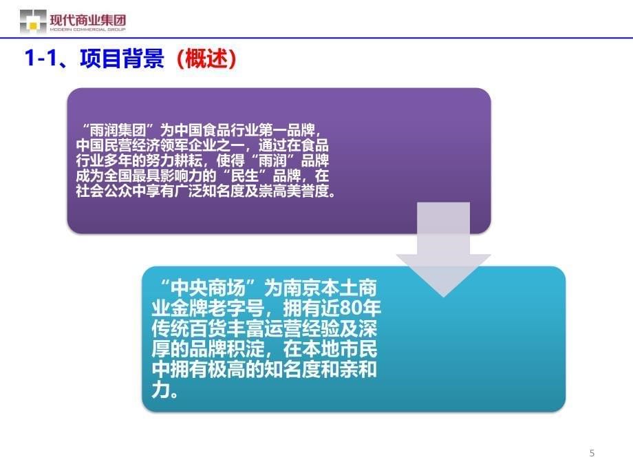 南京雨润中央广场未来项目定位建议分析报告_第5页