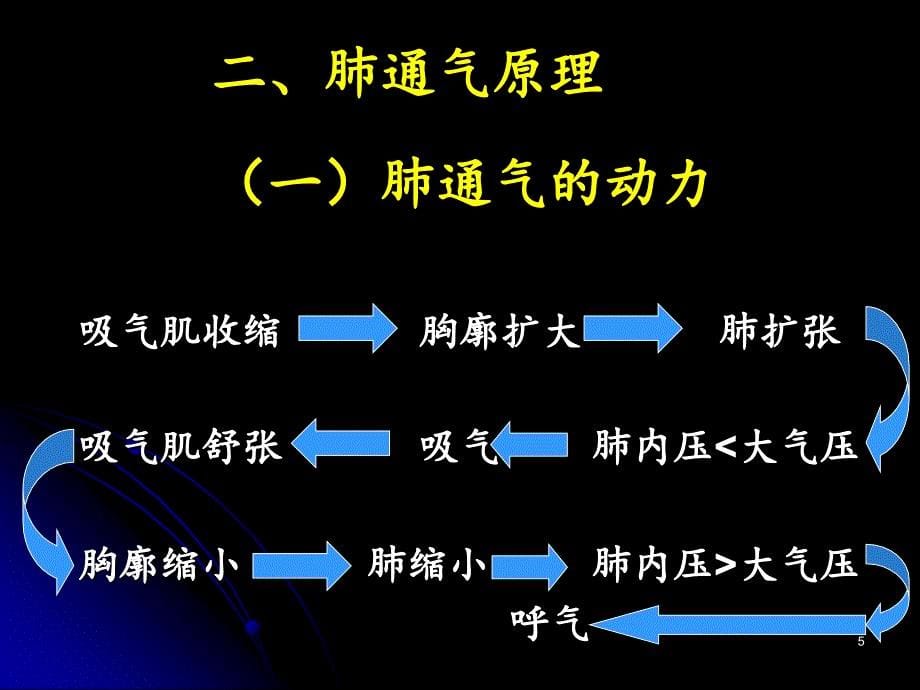 生理学完整呼吸.PPT_第5页