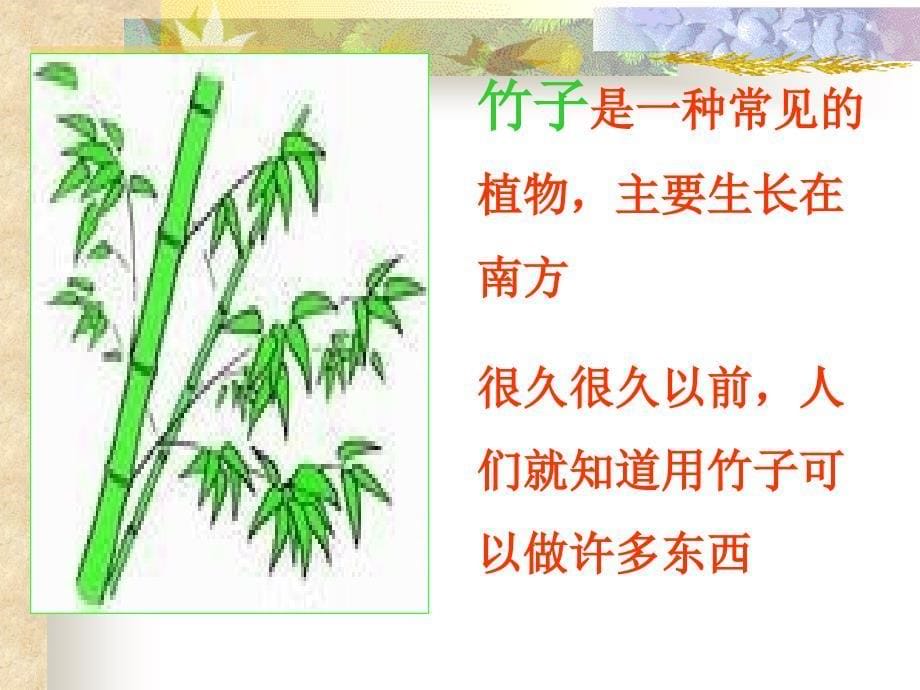 笋芽儿课文ppt_第5页