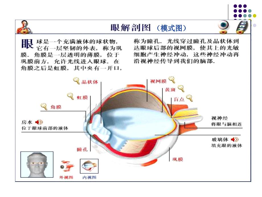 糖尿病和高血压眼底检查.ppt_第2页