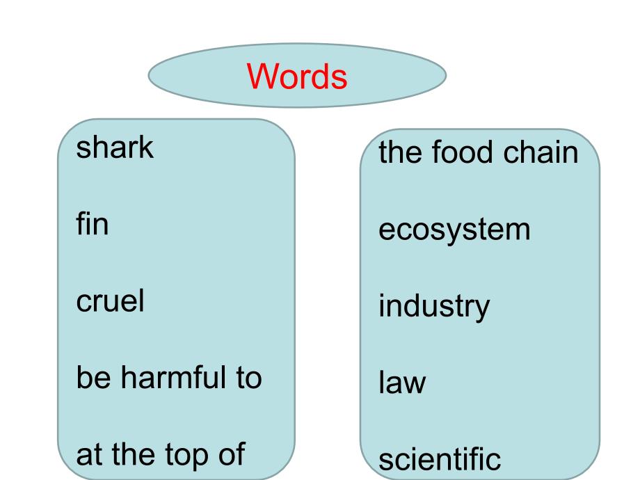 人教版初三英语unit13sectiona2savethesharks_第3页