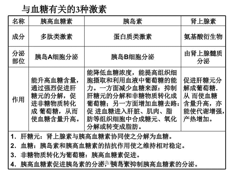 胰岛素专题复习课件_第5页