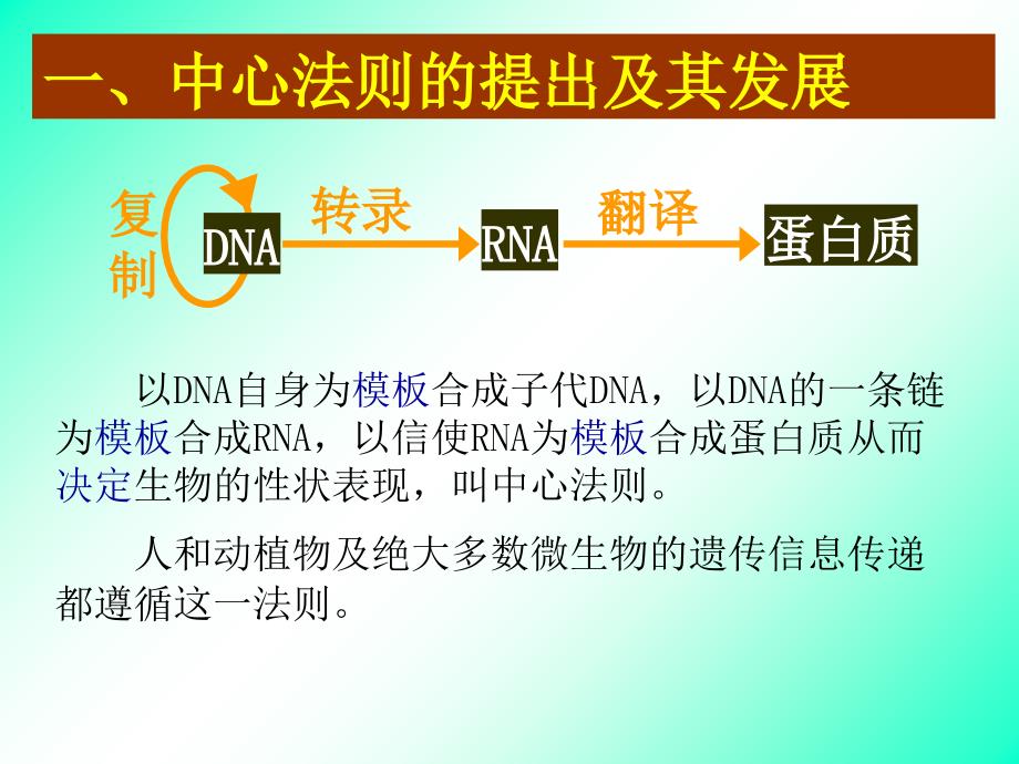 基因对性状的控制11课件_第3页