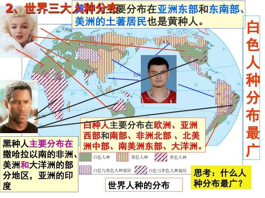 中图版地理八年级上册3.1人种和人口课件1_第5页