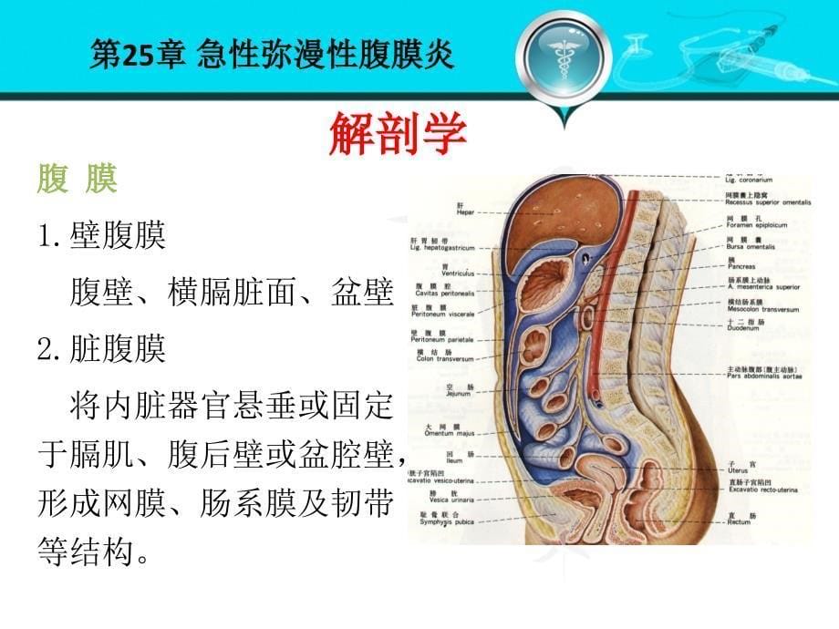 急性弥漫性腹膜炎 ppt课件_第5页