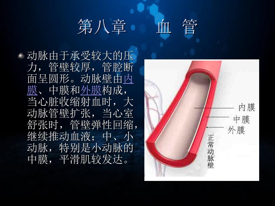 医学影像血管解剖_第4页