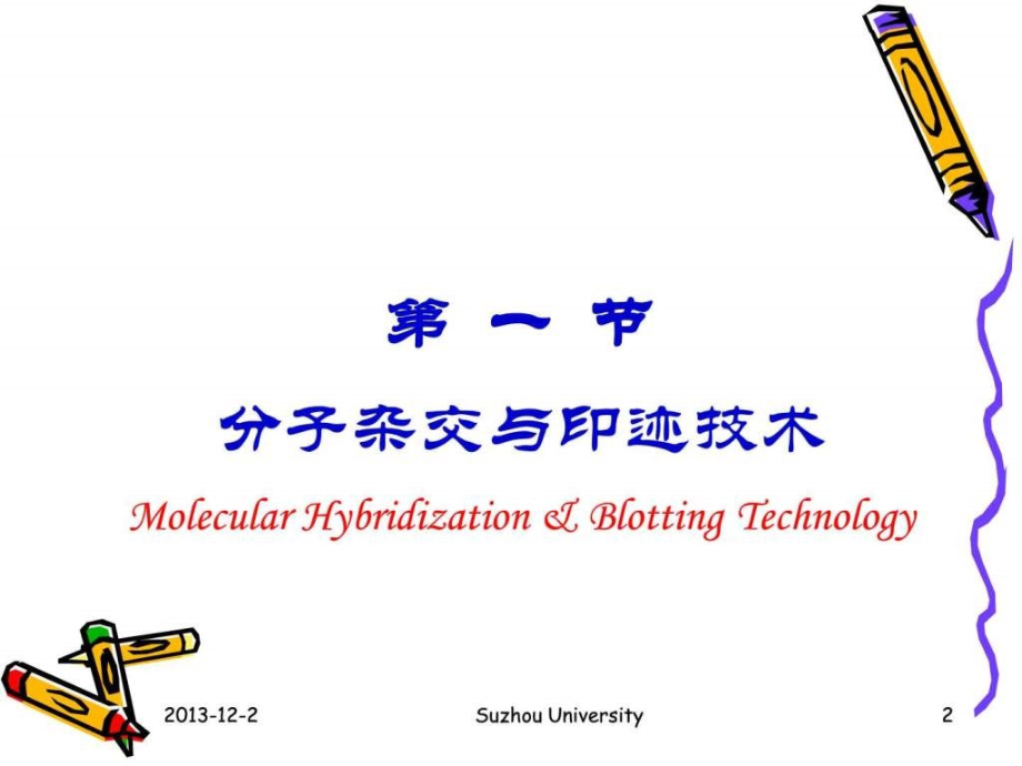 常用的分子生物学技术原理及应用()_第2页