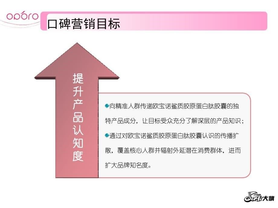 【广告策划PPT】欧宝诺社会化媒体口碑营销方案_第5页