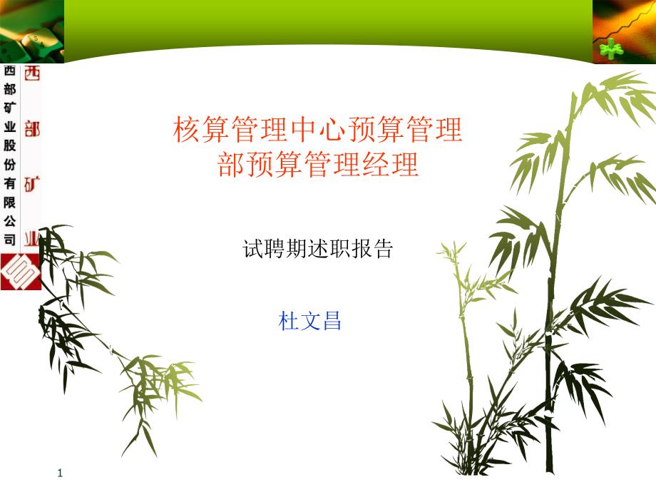 核算管理中心预算管理部预算管理经理试用期述职报告.ppt_第1页