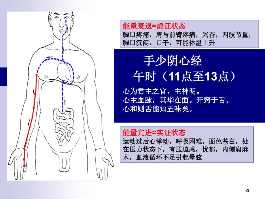 十二经络走向图PPT课件_第4页