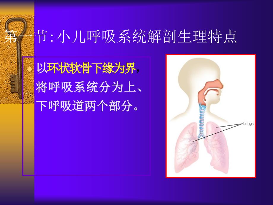 上感及支气管炎_第3页