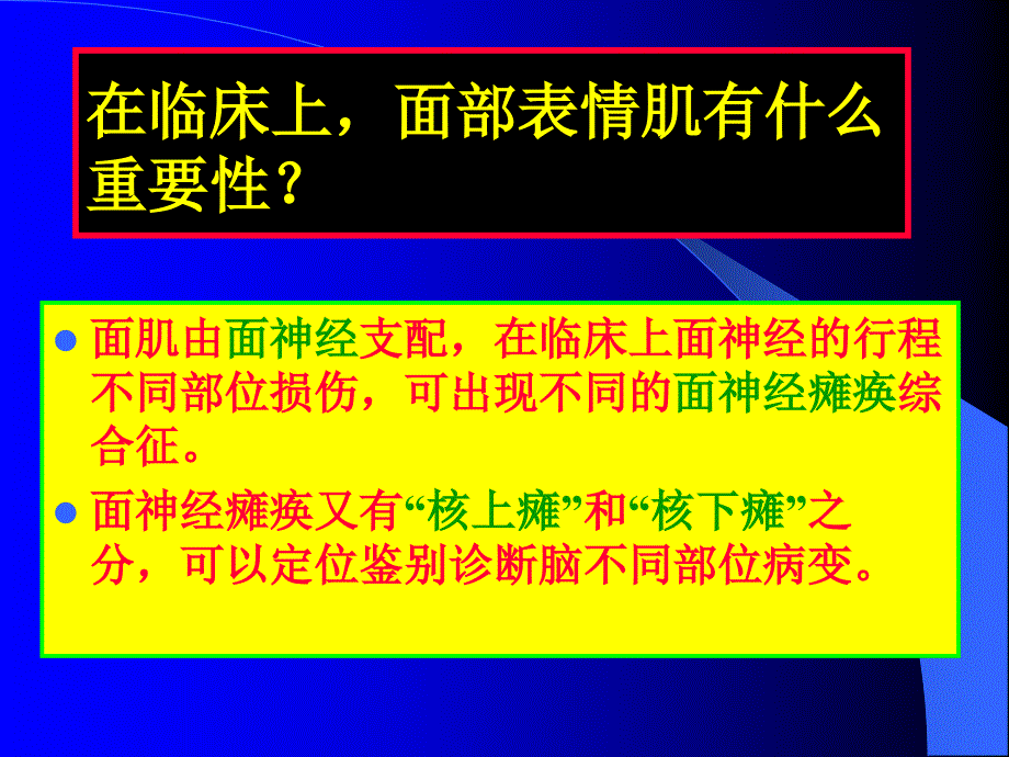 临床医学专业JXN解剖专业G头肌和四肢肌3修改课件_第4页