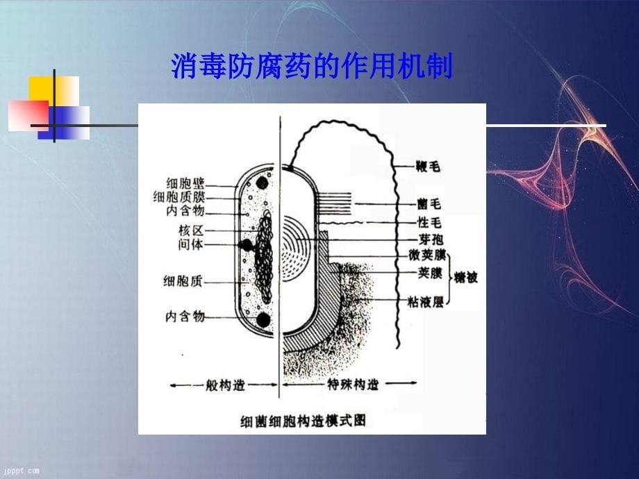 兽医药理学消毒防腐药_第5页