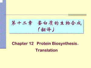 蛋白质的生物合成翻译学习课件