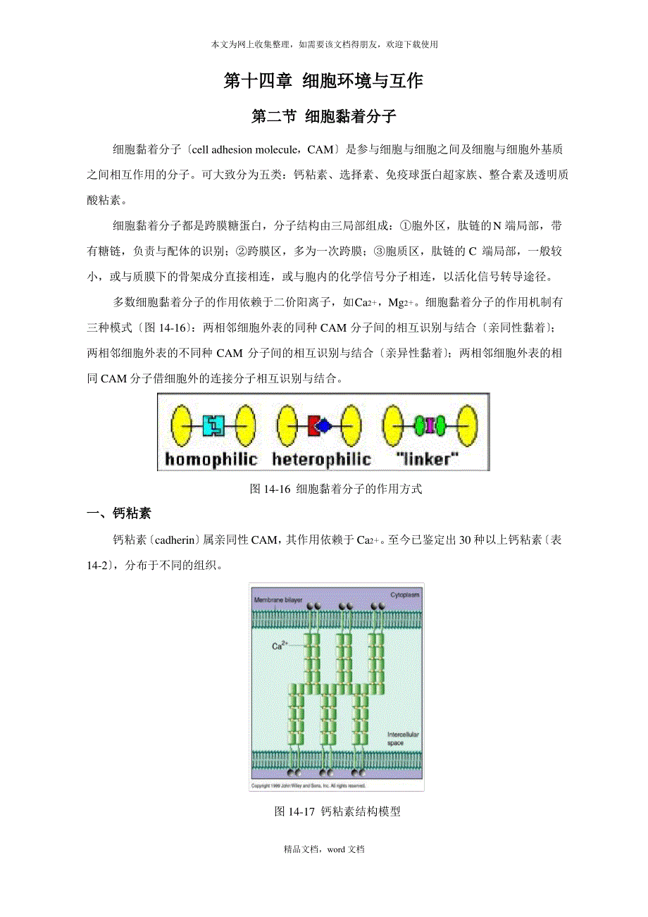 第十一章细胞环境与互作(2021整理)1_第1页